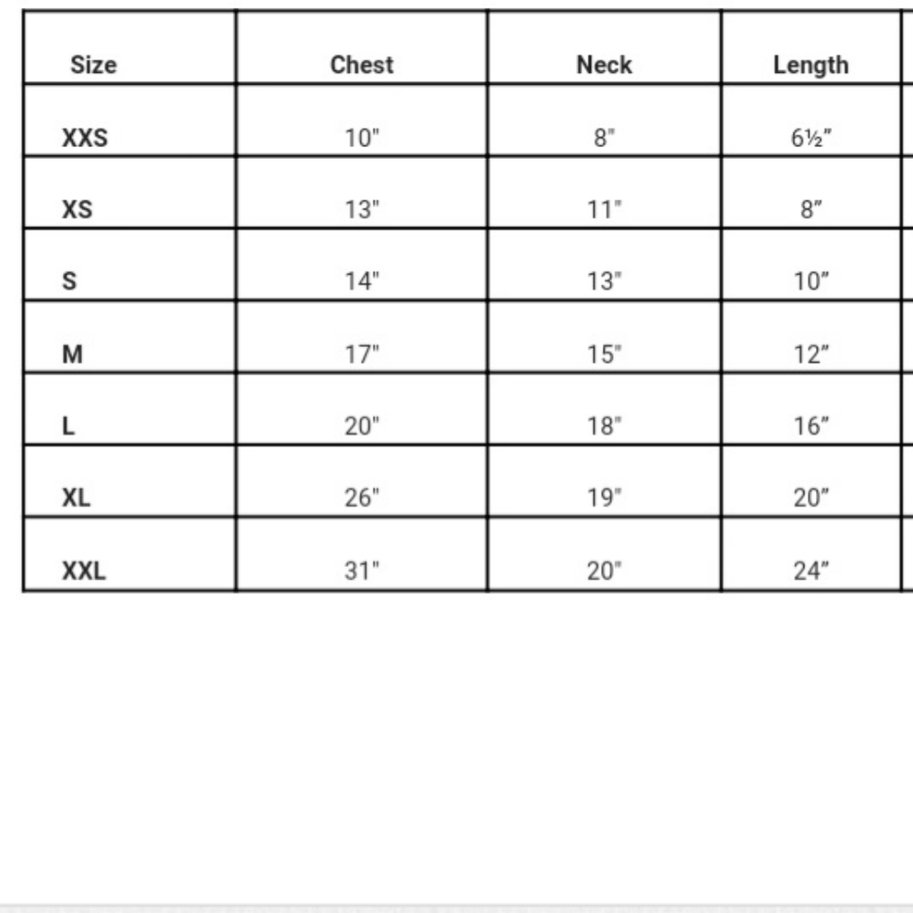 Halloween Dog Pumpkin Shirt - Picture 3 of 3